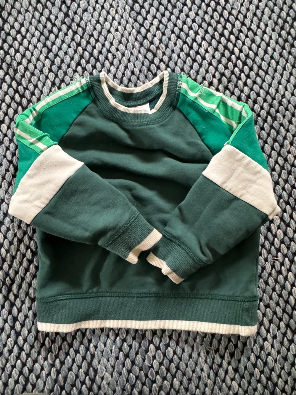 Hanna Andersson Dark Green & Light Green Kids Sweatshirt